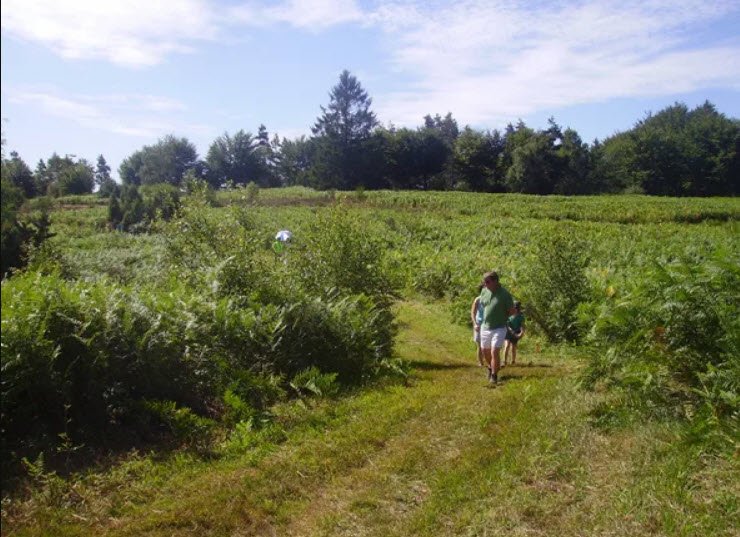 Arboretum du Massif des Agriers, Lamazière-Haute, France, France